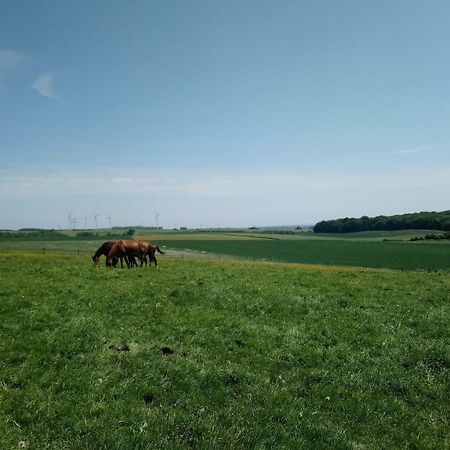Отель Jad Ranch Raucourt-et-Flaba Экстерьер фото