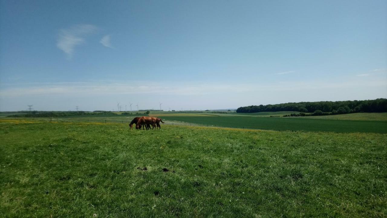 Отель Jad Ranch Raucourt-et-Flaba Экстерьер фото