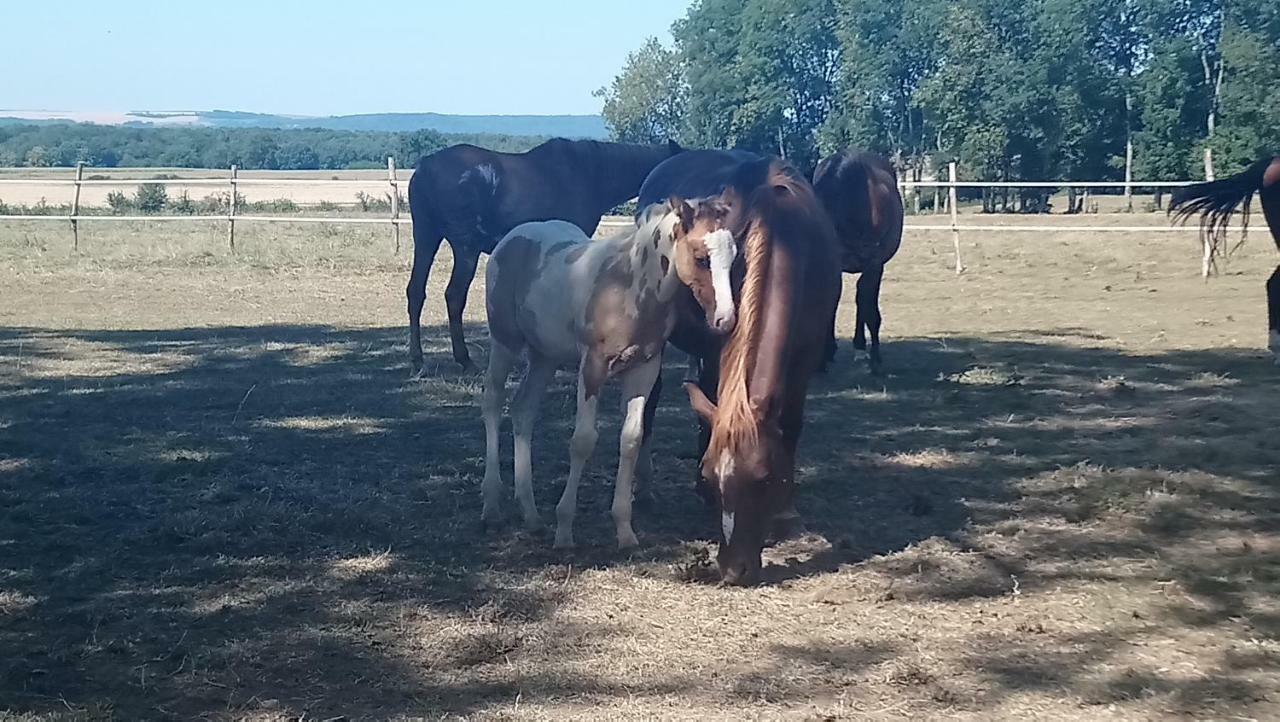 Отель Jad Ranch Raucourt-et-Flaba Экстерьер фото
